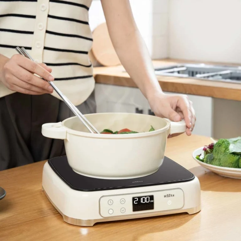 Bếp từ đơn Haatz HIS819
