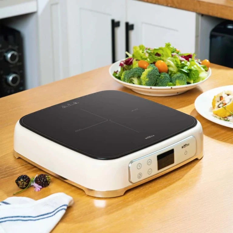 Bếp từ đơn Haatz HIS819