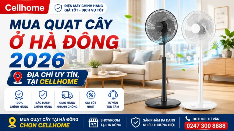 Mua Quạt Cây Ở Hà Đông 2026: Địa Chỉ Uy Tín, Tại Cellhome