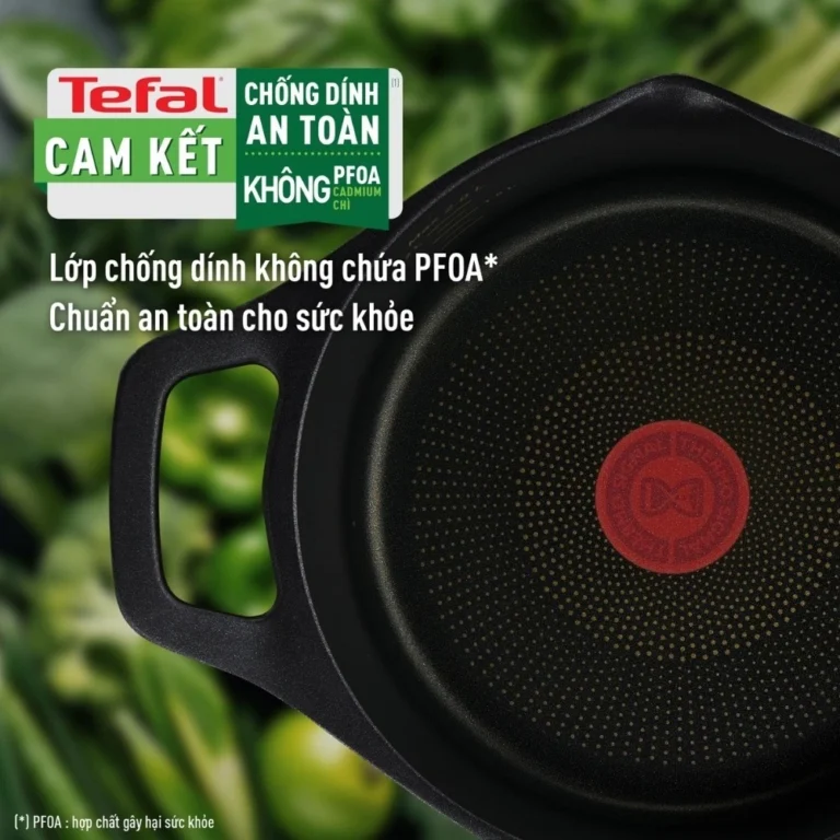 Nồi đúc cao cấp Tefal Robusto 20cm E2494444