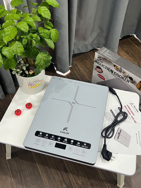 BẾP TỪ CAO CẤP KAILER KL-1106