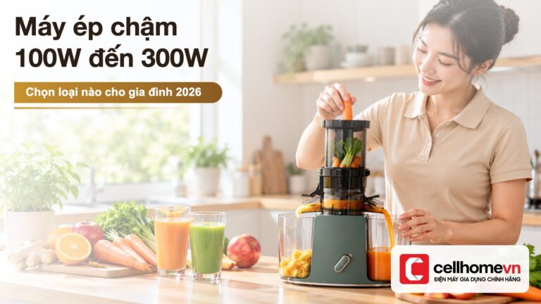 Máy ép chậm 100W đến 300W: chọn loại nào cho gia đình?
