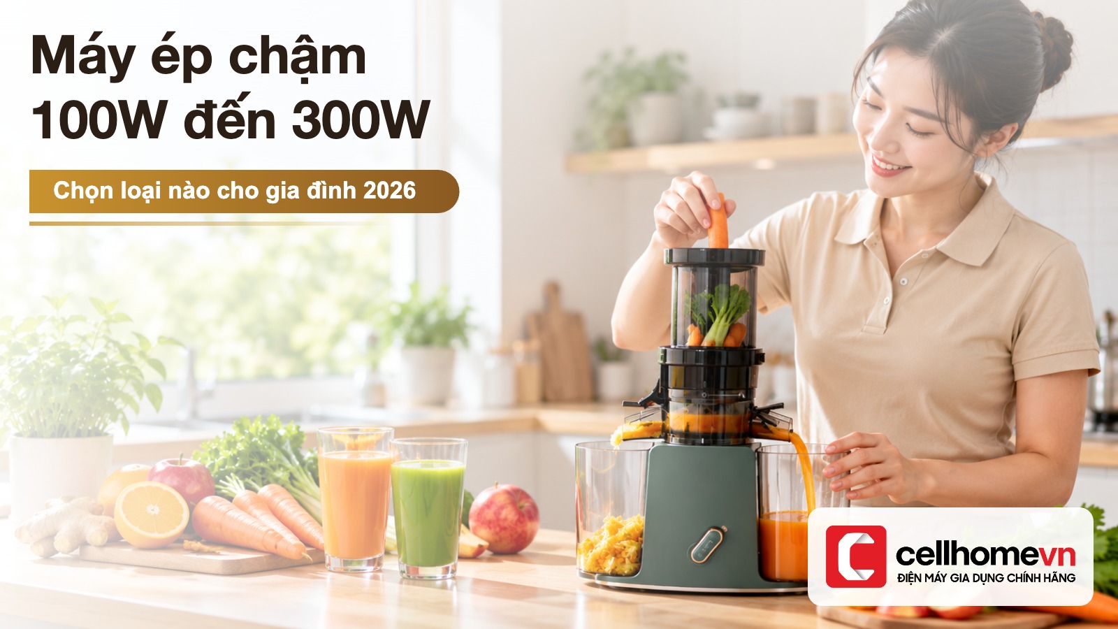 Máy ép chậm 100W đến 300W: chọn loại nào cho gia đình?