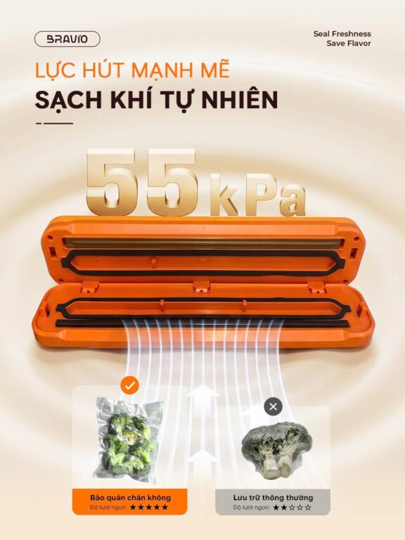 Máy hút chân không Bravio Nemo V11
